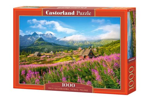 1000 - Piece puzzle Hala Gąsienicowa, Tátra, Lengyelország