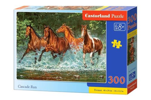 Puzzle 300 db. Cascade Run