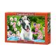 Puzzle 500 darab Francia bulldog kiskutya