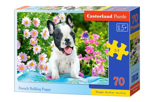 Puzzle 70 darab Francia bulldog kiskutya