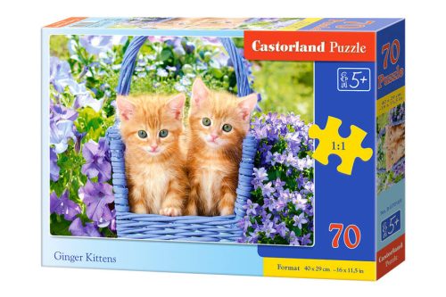 puzzle 70 darab Ginger Cicák