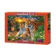 Puzzle 2000 db. Tigris család