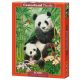 1000 darabos puzzle C-104987 Panda Brunch