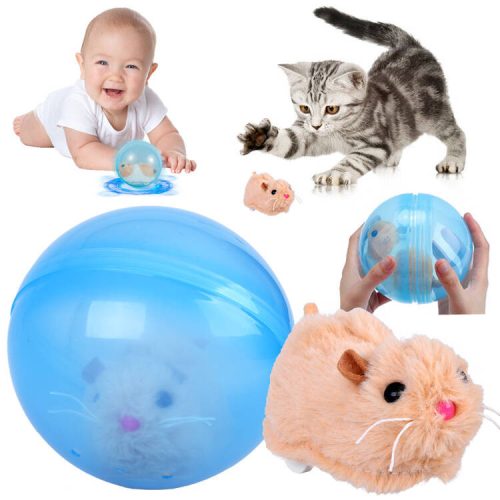 A charming Hamster in a ball, an interactive toy for children ZA4958