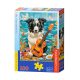 Puzzle 100 B-111268 Collie, gitár és a tenger